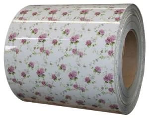 Designed Flower Pattern Color Coated Printech PPGI Steel Coil