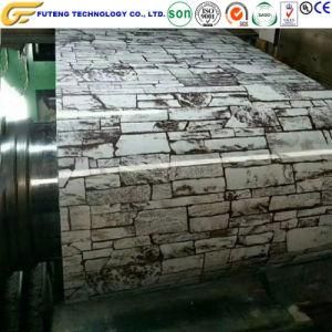 Various Colour-Coated Galvanized Steel Coils for Roofing Construction