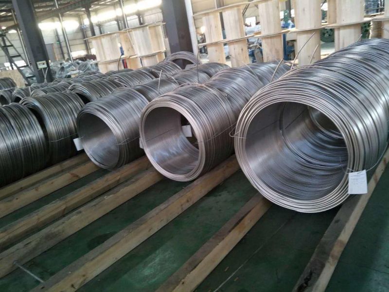 1 Meter Length Coil Tube 304 ASTM A269 310S Stainless Steel Capillary Pipe with Competitive Prices
