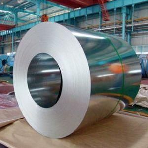High Quality Galvanized Steel in Coil