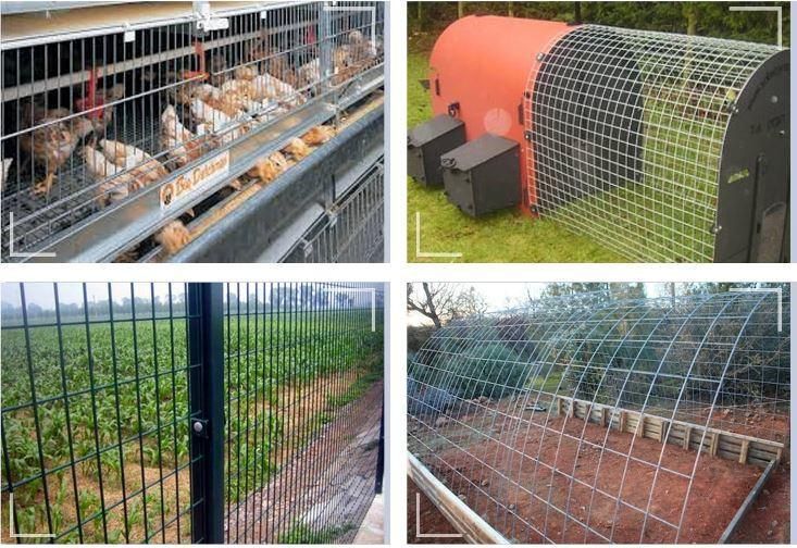 Stainless Steel Wire Mesh 304 316 SGS Certified