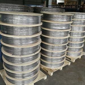 Stainless Steel 304 Coiled Tube Price in China