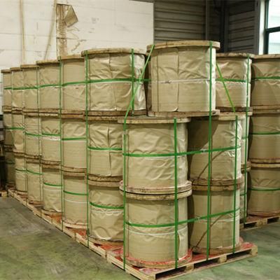 New Technology Hot-Dipped Galvanized Steel Wire