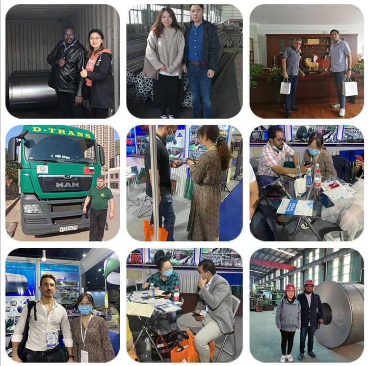 Customized Special Color Galvanized Color Steel Coil
