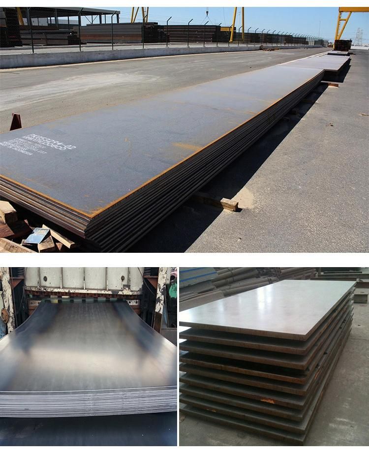 Professional Steel Manufacturer High Quality 11mm 100mm Carbon Steel Plate in Building