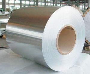 Stainless Steel Coil