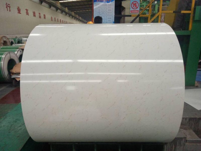 Wholesale High Quality Galvanized Steel Coil