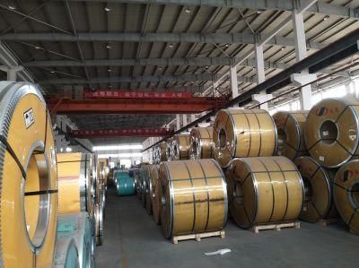 Cold Rolled/Hot Rolled Stainless Steel Coil Tp 316/317/316L