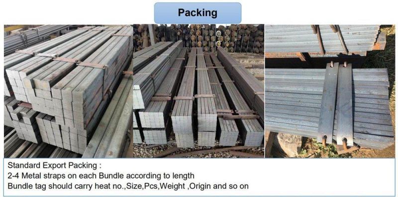 C45 Hot Rolled Steel Flat Bars / S50c C50 / S45c C45 1045 Flat Bar of Carbon Steel