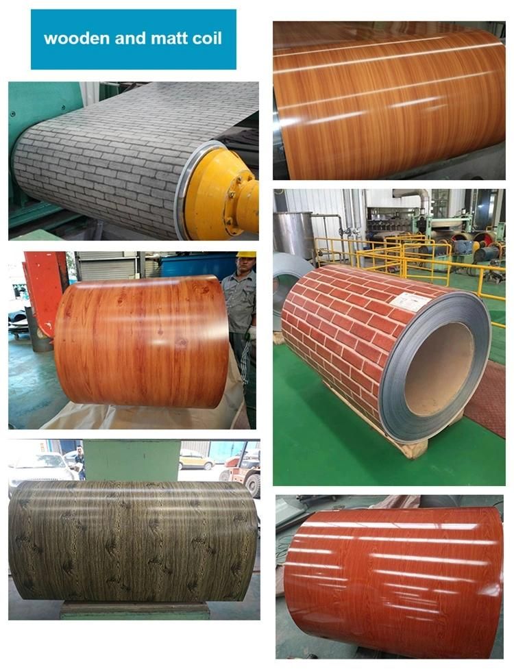 PPGI Dx51d Grade for Container Plate Color Coated Prepainted Galvanized Steel Coil