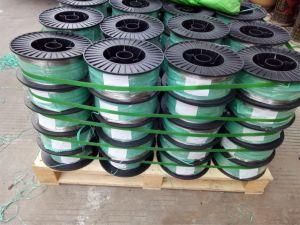 Stainless Steel Wire 317L
