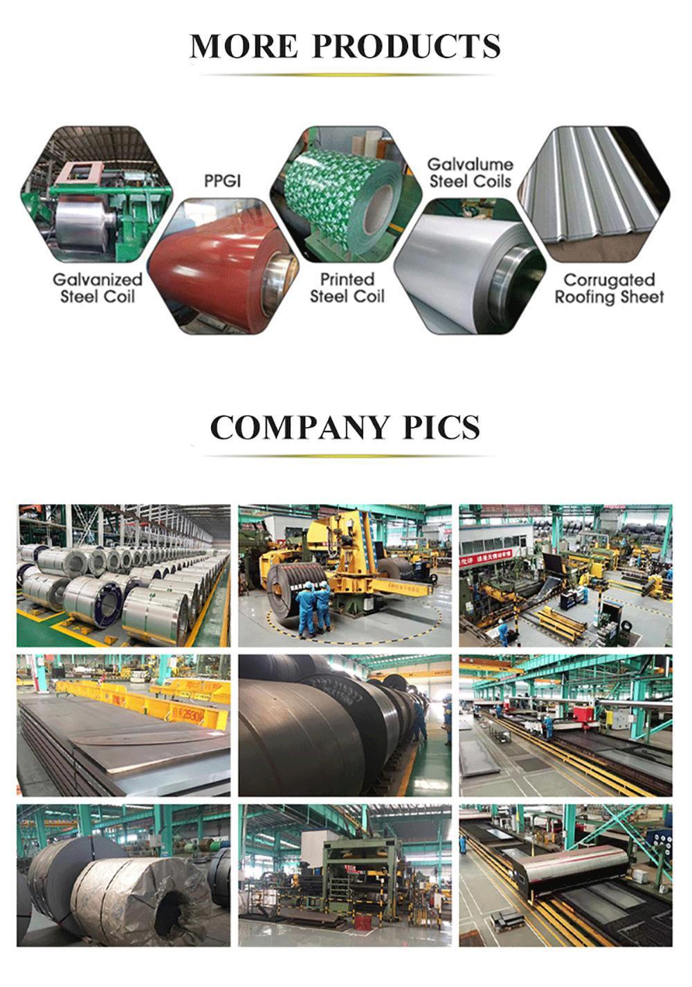 Prepainted Galvanized Steel Coil Factory/Sheet/PPGI/Dx51d/ PPGI Factory