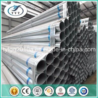 Tyt Hot Dipped Galvanized Steel Tube for Export