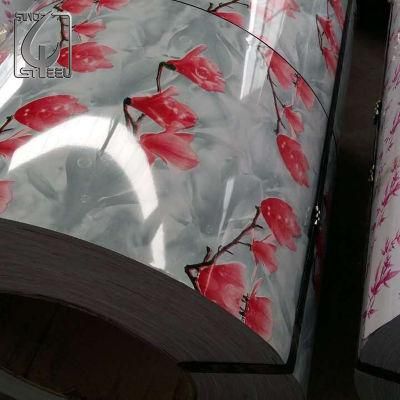 Prepainted Printing Galvanized Steel Coil for Africa Market