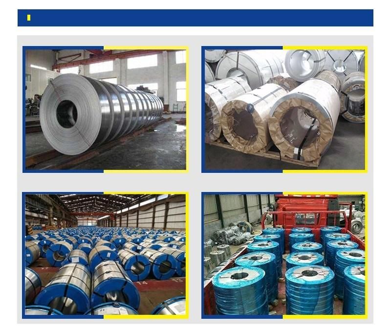 Steel Coil Type and Container Plate Application Galvanized Sheet Metal Roll