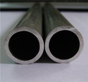 Welded/Seamless Stainless Steel Pipe/Tube for Construction