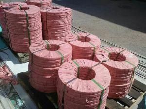 AISI ASTM Cold Rolled Stainless Steel Strip with Ba 2b Hl Finish