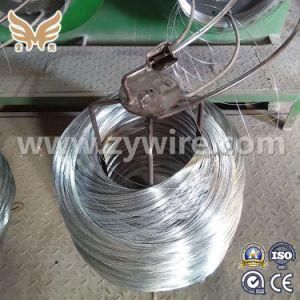 Steel Wire Rod in Coils Hot DIP Galvanized Steel Wire for Cable