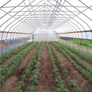 Q195-Q345 Greenhouse Frame Galvanized Pipe