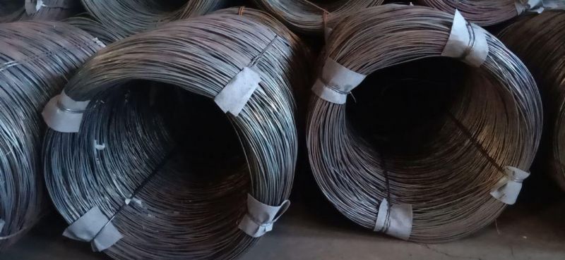 Made in China Factory 1022A Grade Cold Heading Steel Wire to Make Screw Nails