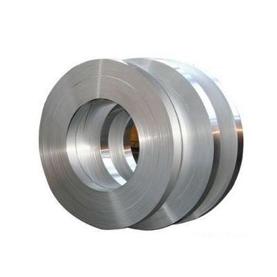 Factory Supply 316 Stainless Steel Strip