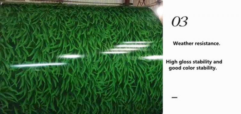 65mn Hot Rolled/Cold Rolled/Galvanized/ PPGI Steel Coils for Roofing Sheet