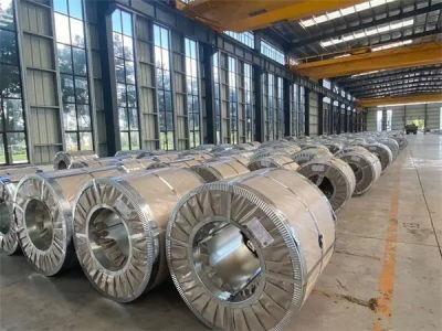 Dx51d Hot Dipped Galvanized Steel Coil Z100 Z275 Price Dx52D Cold Rolled Gi Coil G40 Zinc Coated for Roofing Sheet