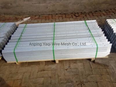 50*50*5mm Galvanized Angle Steel Bead Angle Iron with SGS Certificate China Supplier