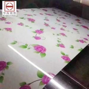 Color Coated Galvanized Steel Coil (flower pattern)