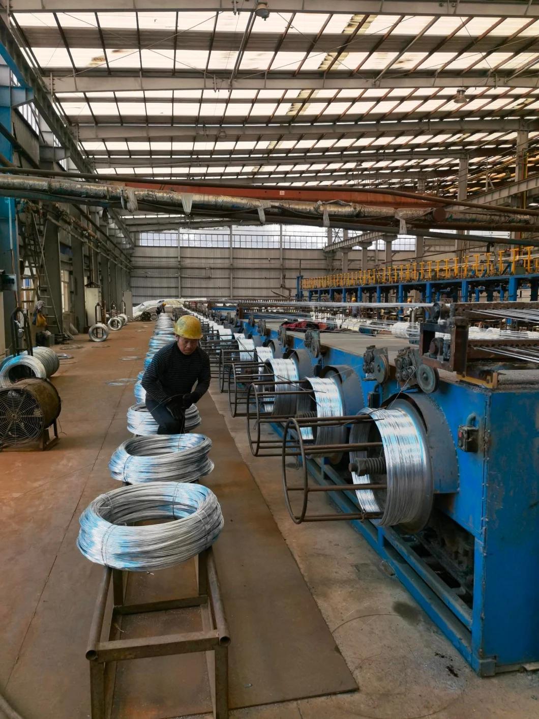 Manufacturer SAE 1006 Cr Hot Rolled Steel Wire in Coils for Making Nails