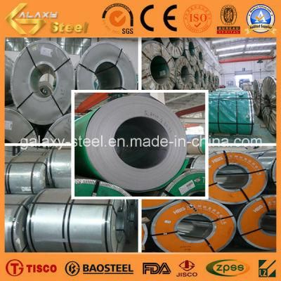Manufacture 304 Special Steel Inox Coil/Roll