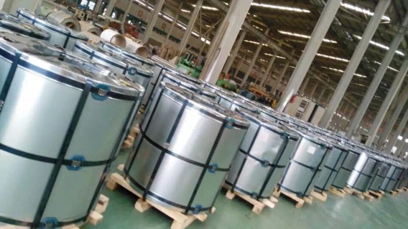 Galvanized Steel Coil for Wall Cladding and Roofing