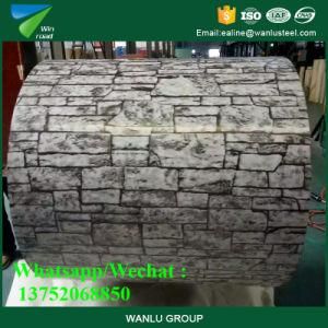 Trade Assurance PPGI Coil Color Coated Steel Coil Ral 8091/Color Coated Steel Coil From China