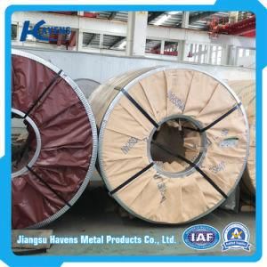 Cold/Hot Rolled 1.0mm AISI 304 Stainless Steel Coil