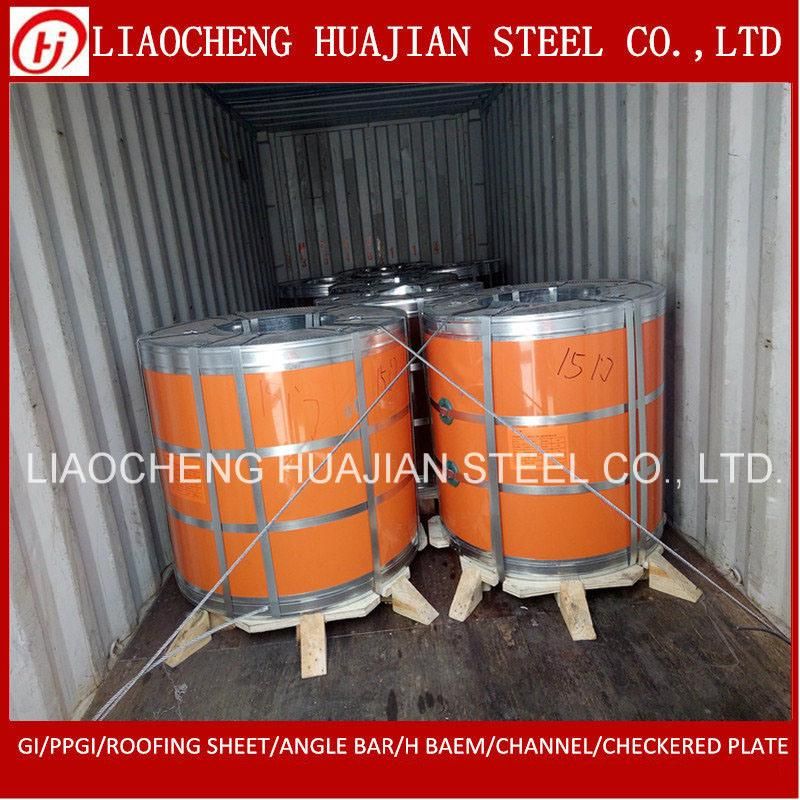 Hot Prepainted Galvanized Steel Coil for Building