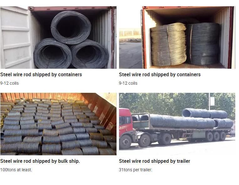 China Suppliers 5.5mm 6.5mm Low Carbon Steel Ms Wire Rods in Coils Hot Rolled Mild Iron Steel Wire Rods