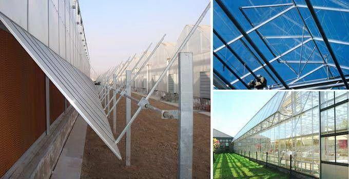 Welded Galvanized Steel Pipe Scaffolding Steel Pipe Greenhouse Galvanized Steel Pipes