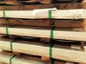 304 304L 316 316L Hammered Stainless Steel Sheet No. 4 No. 8