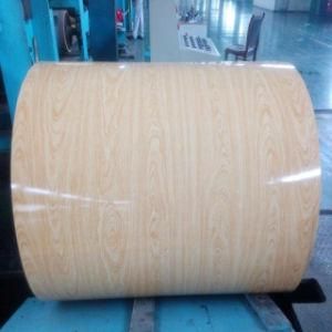 Wooden Grain Prepainted Gi Steel Coil/ PPGI/ PPGL in High Quality