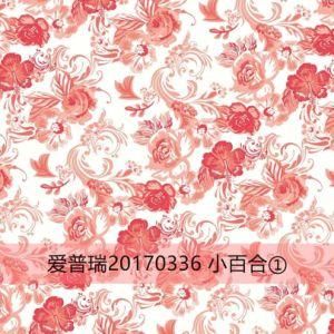 Color Coated Printed Wooden/Flower/Brick/Marble Pattern PPGI Steel Coils