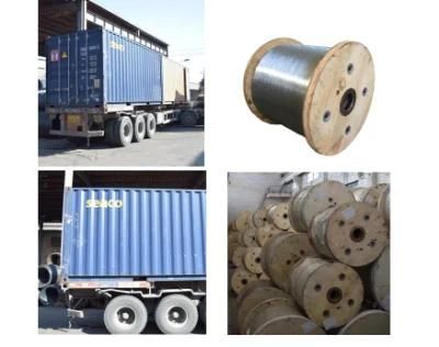 Hot Treatment Steel Wire /Spring Wire/High Carbon Wire