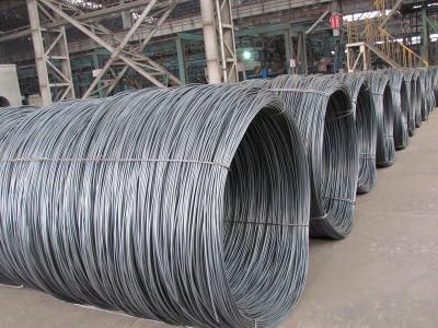 SAE 1008 Low Carbon Hot Rolled Steel Wire Rod in Coil