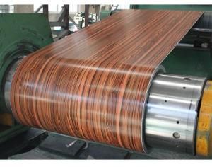 Flower Brick Wood Pattern Color Printing PPGI Steel Coil
