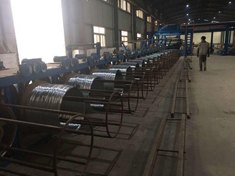 3mm Cold Drawn Steel Wire Price for Nail Making or Steel Mesh