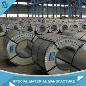 Galvanized Steel Coil / Belt Material Q235 Made in China