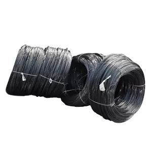 Factory China AISI 1060 Wire Steel Black Spring Wire 0.45mm 0.5mm for Making Insect Pins Wire