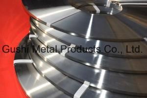 304 316 Stainless Steel Strips in China
