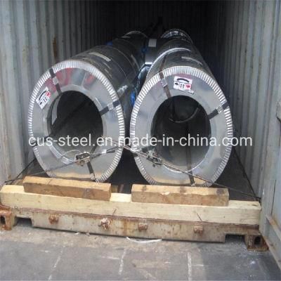 Ral9003 Galvanized Steel Sheet/Prepainted Zinc Coating Steel Coil