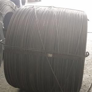 5-12mm Cold Rolled Reinforcement Steel Bar in Coil