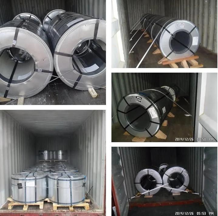 Color Coat Galvanized Steel Coil Electrolytic Galvanized Steel Sheet Coil Price